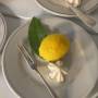 lemon.jpeg