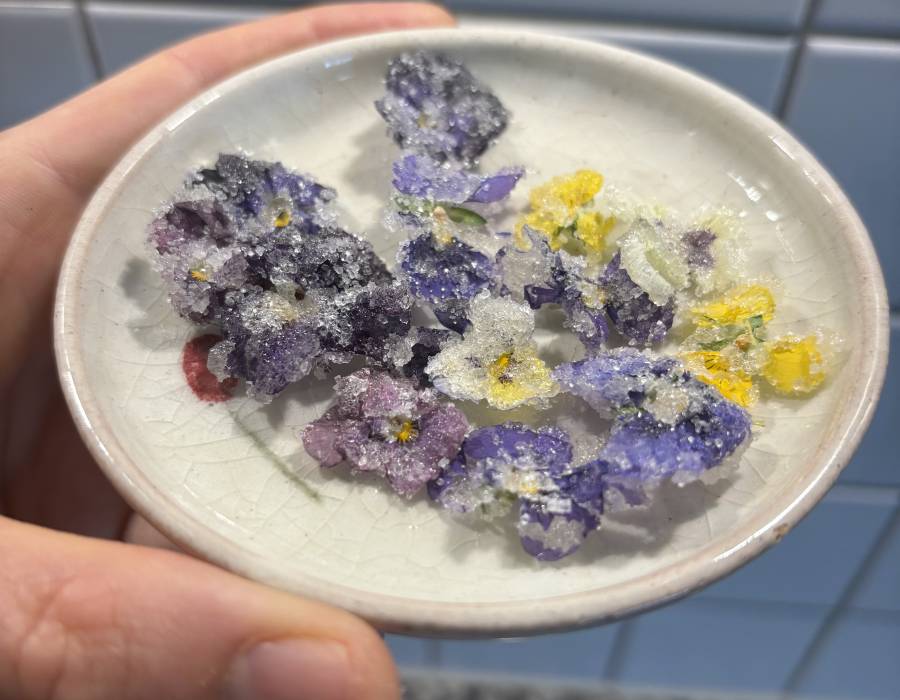 violets.jpeg