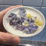 violets.jpeg