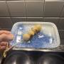 dango.jpeg